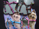 Puppy & Extra Small Dog Harnesses & Leads