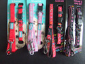 Puppy & Extra Small Dog Collars & Leads