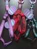 DOG & CO - Tartan Harness - Various Colours - Small & Medium